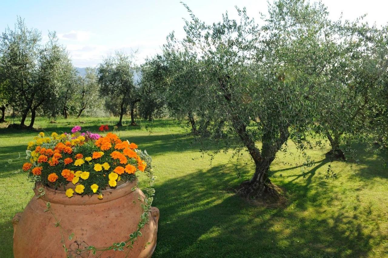 Agriturismo Bellosguardo Reggello Exteriér fotografie